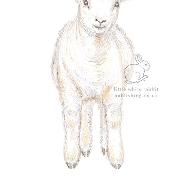 Lamb Jumping - Blank Card