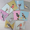 Garden bird placemats collection, melamine, cork-backed - price per placemat