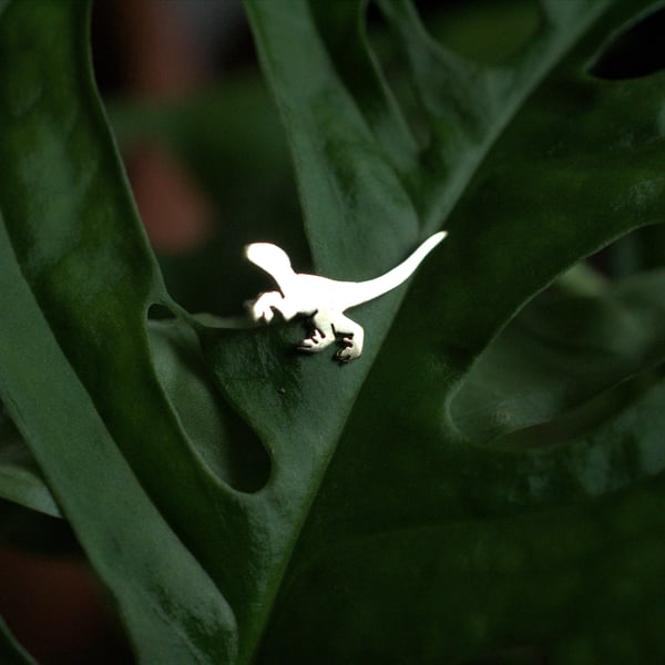 Custom order - Statement Raptor Earring