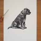 Limited edition Linocut print of Border Terrier 