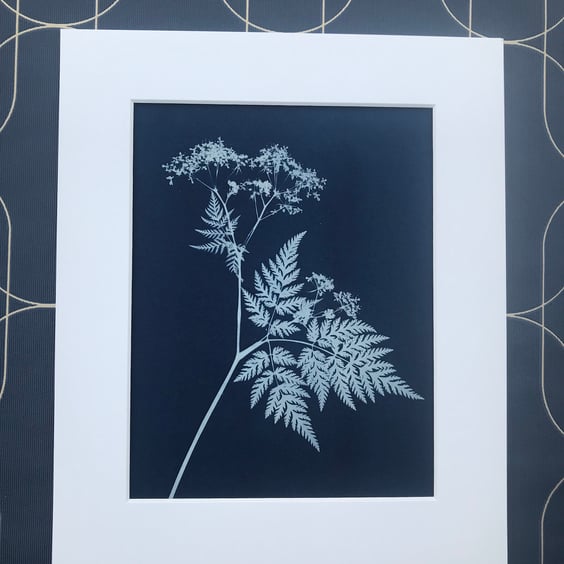 Wild Flower Art, Cow Parsley, Botanical gift, Cyanotype Art.
