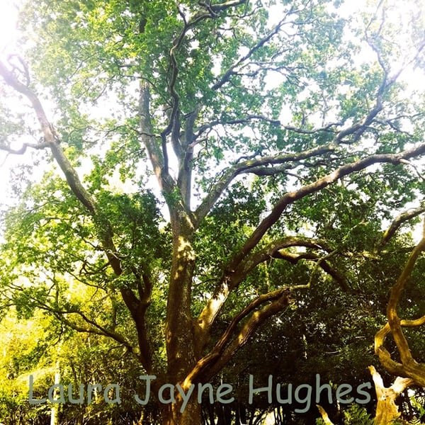 Big green tree in Burley, New Forest. A4 photographic print