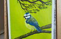 Wildlife 
