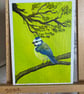 Mini original of a Bluetit on a canvas panel. 