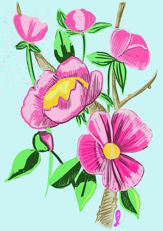 A4 print of a climbing pink flower