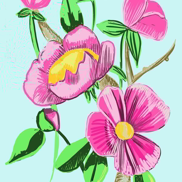 A4 print of a climbing pink flower