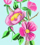 A4 print of a climbing pink flower