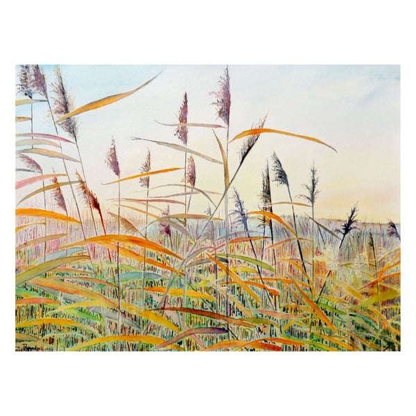 Landscape Watercolour Painting of Fen Reeds Countryside Rural Skyscape Art  