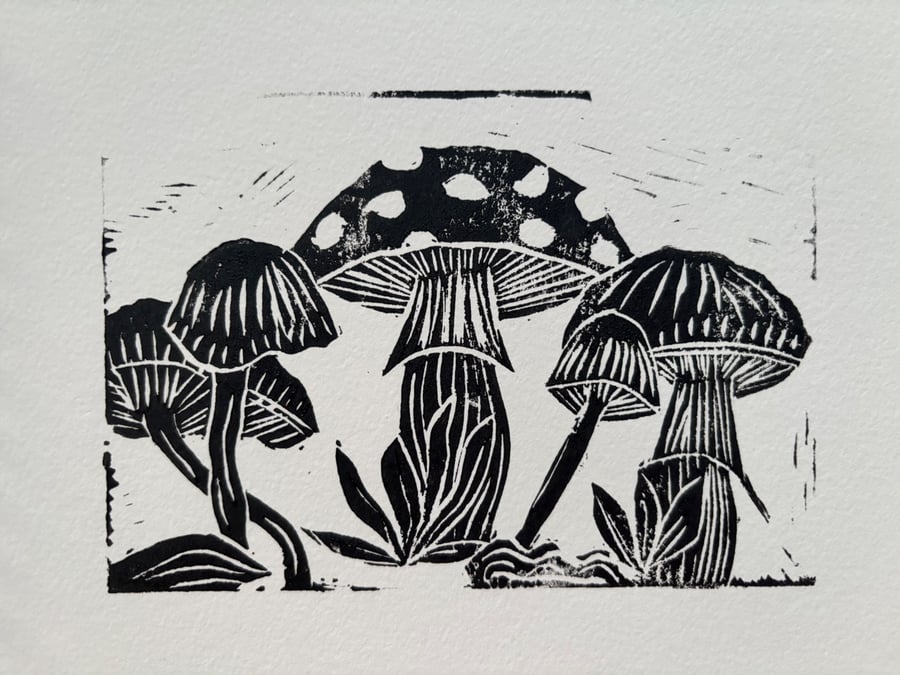 Mushrooms 