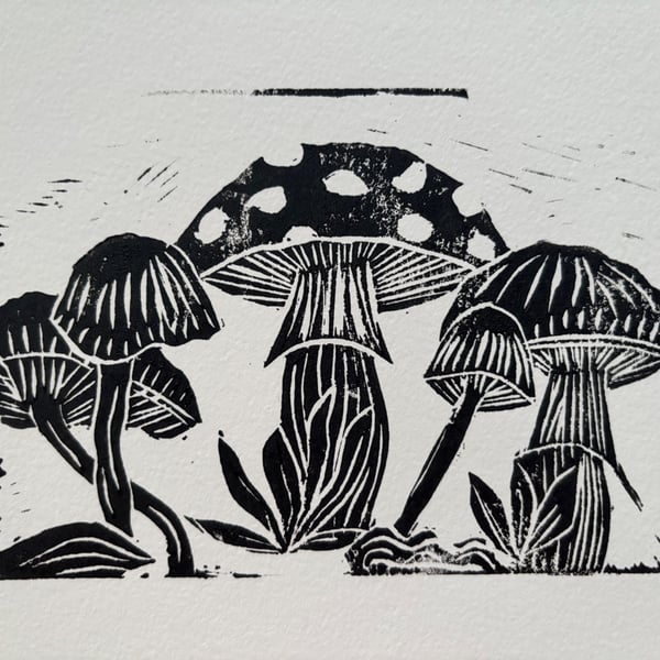 Mushrooms 