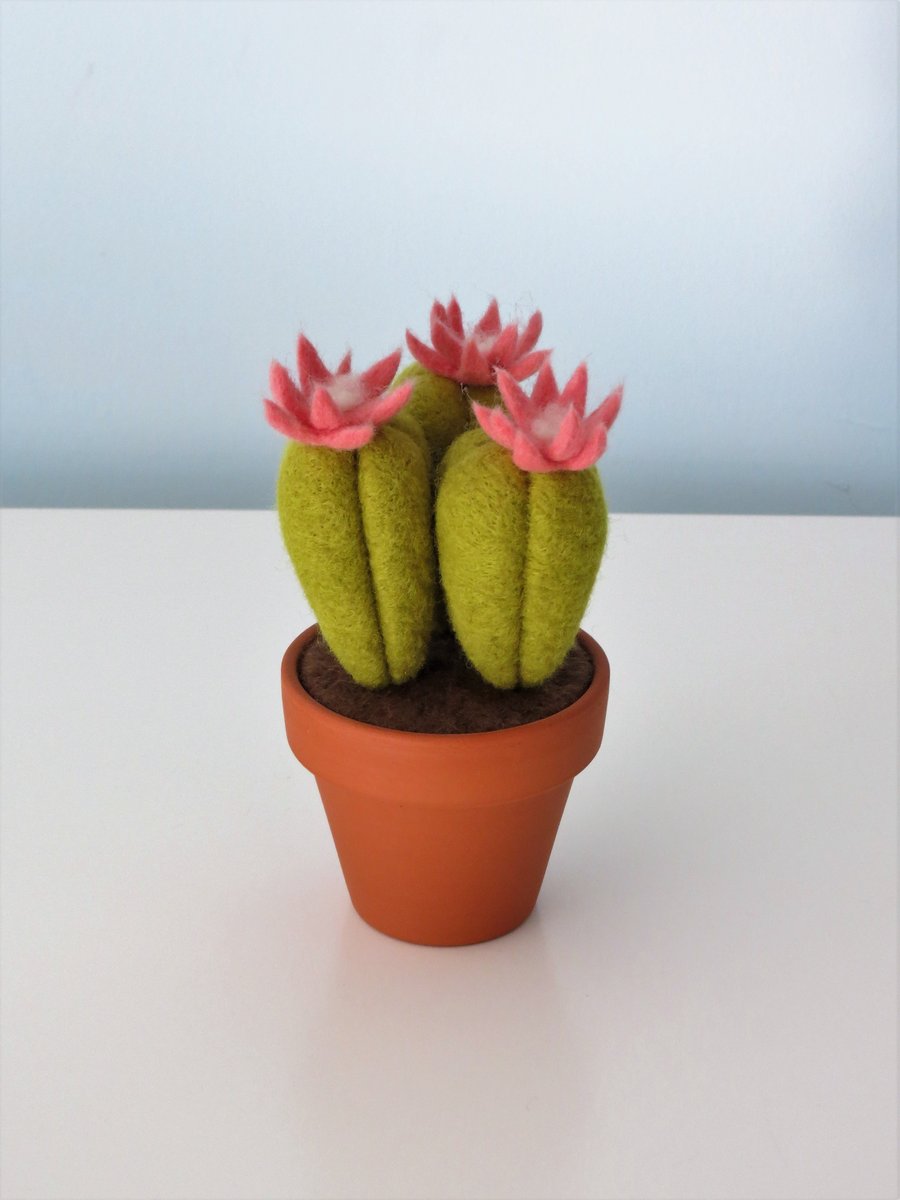 Handmade Merino Wool Needle Felted Succulent