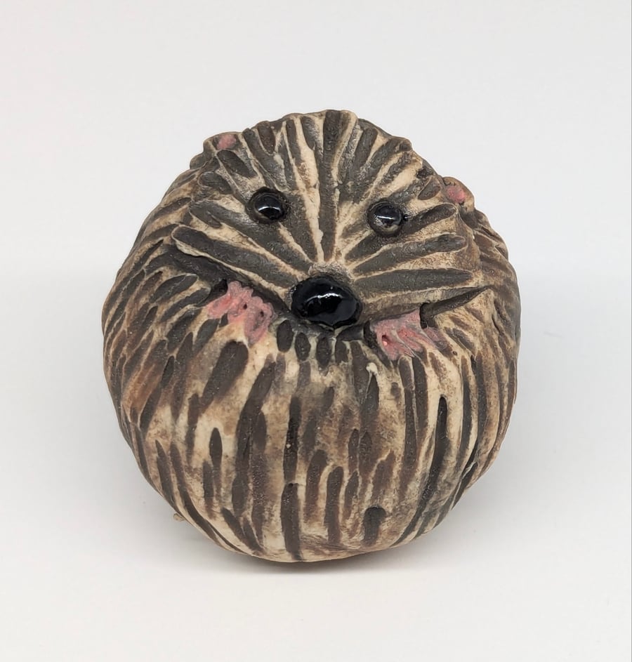 Hedgehog - Little Creatures Range