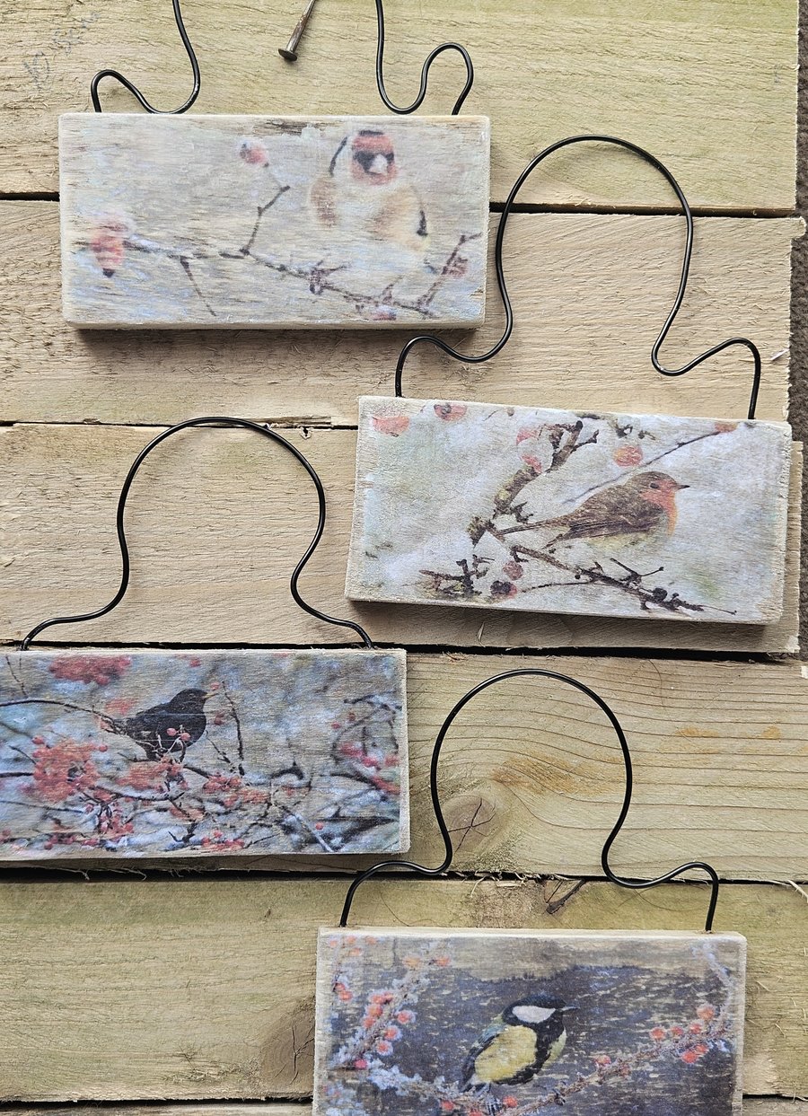  Bird Hanger Handmade – Robin, Blackbird, Goldfinch, Great Tit. Reclaimed Wood