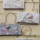 Bird Hanger Handmade – Robin, Blackbird, Goldfinch, Great Tit. Reclaimed Wood