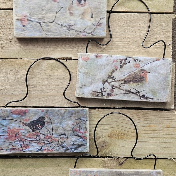  Bird Hanger Handmade – Robin, Blackbird, Goldfinch, Great Tit. Reclaimed Wood
