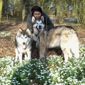 Sophie Carter Jewellery