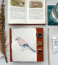 Original Watercolour Jay Painting Unframed - Image 3