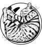 Cute Sleeping Tabby Cat Ink Illustration Giclee Art Print - Image 4