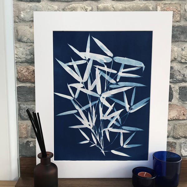 Bamboo shoots into an Original Cyanotype Photogram