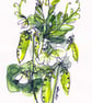 Peapods print