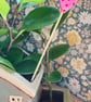 Little Heart Plant Stake - Image 2