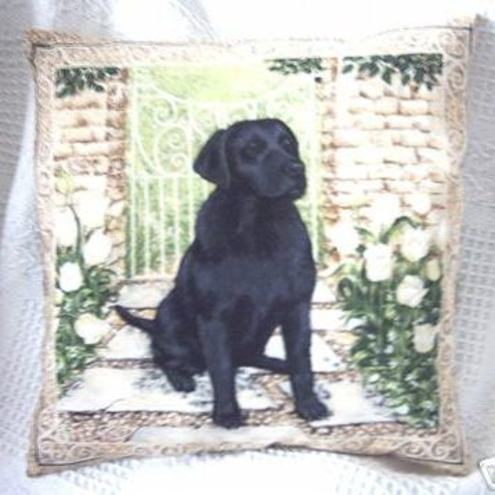 Lovely black labrador sitting by the gate cushion
