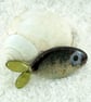 Fused Glass Fish Decoration - Image 5