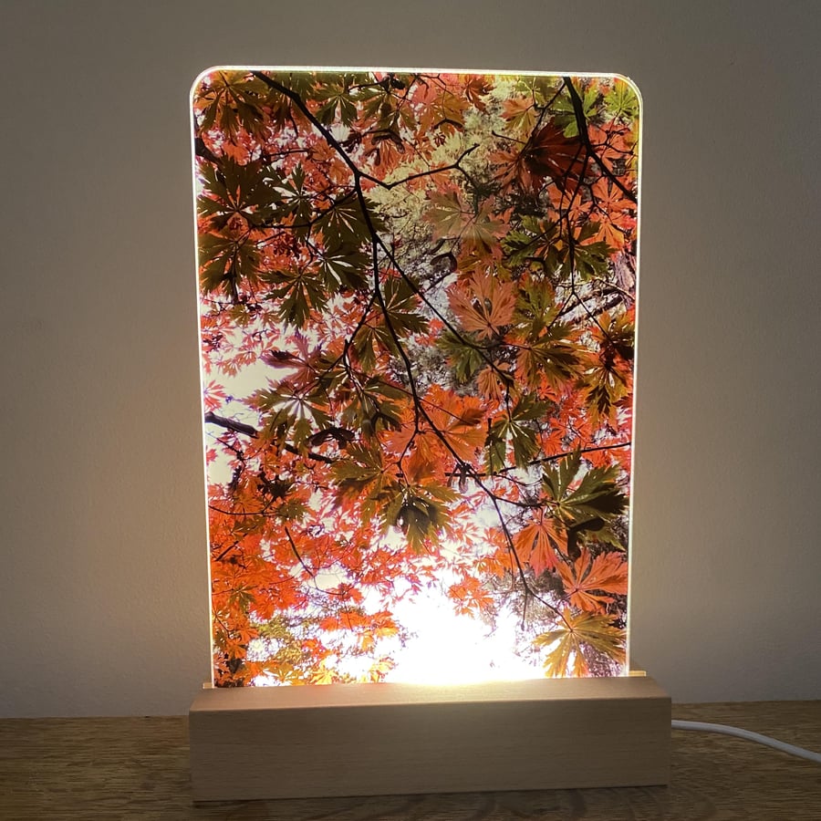 Maple leaf LED lamp - countryside night light