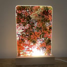 Maple leaf LED lamp - countryside night light