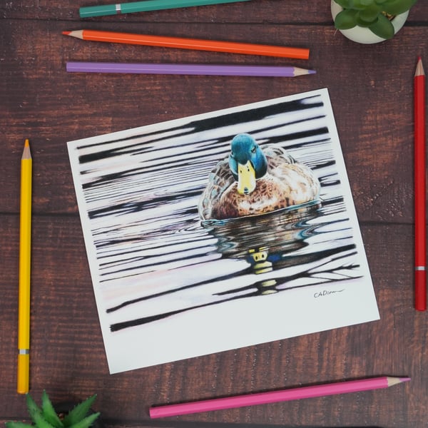 Perfectly Imperfect Fine Art Print of "Sunset Swim" Mallard Duck Art SAMPLE
