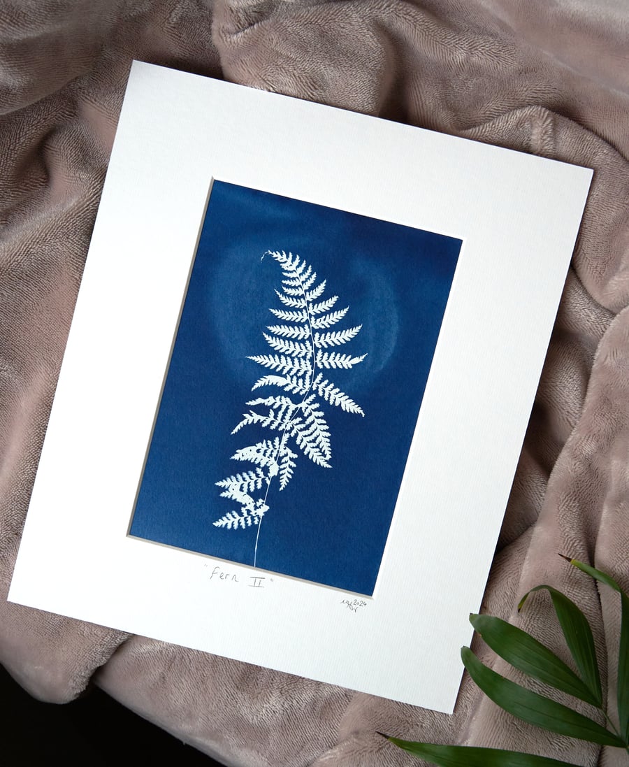 Original cyanotype "Fern II" - mounted ready for framing
