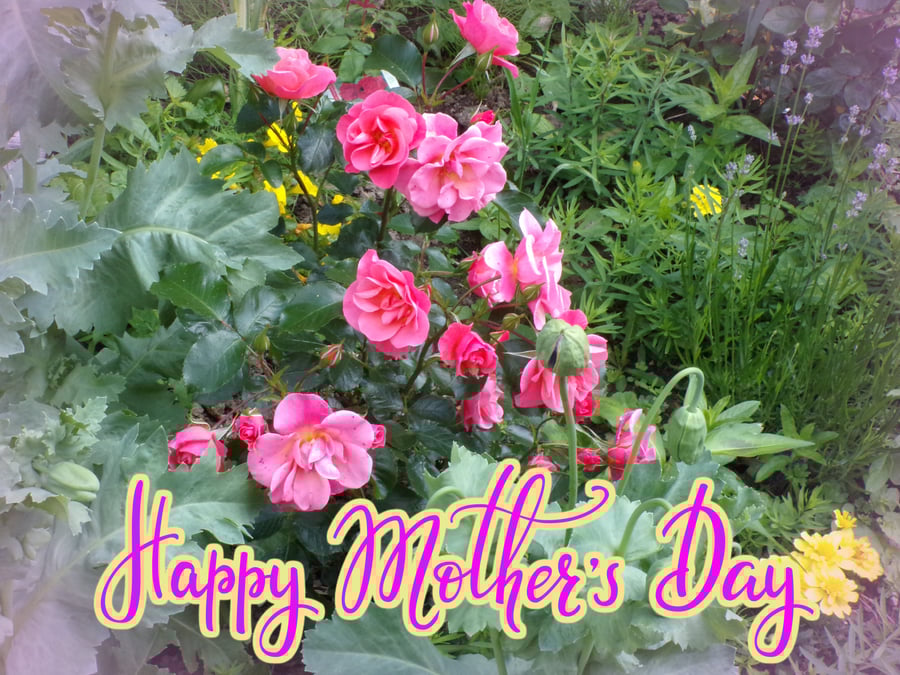 Roses Flowers Mother's Day Greeting Card A5 Size 