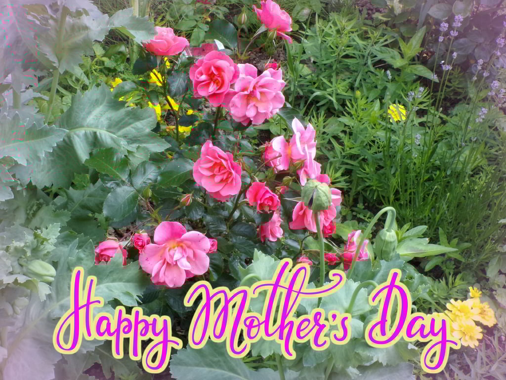 Roses Flowers Mother's Day Greeting Card A5 Size 