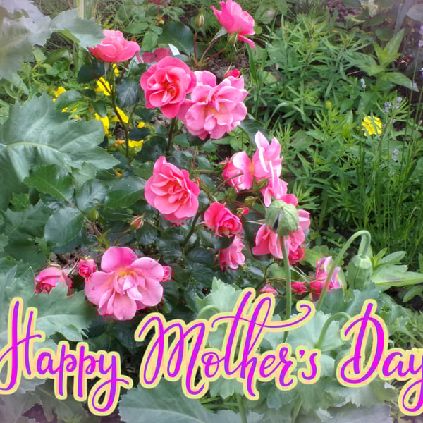 Roses Flowers Mother's Day Greeting Card A5 Size 