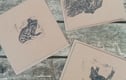 Greetings Cards