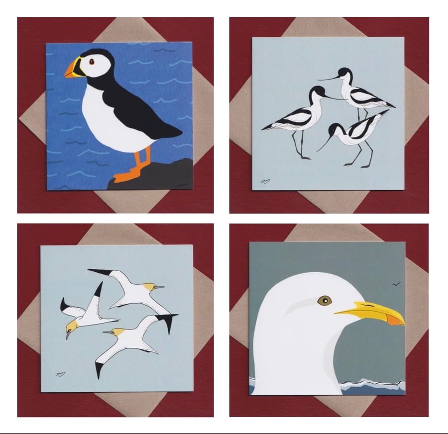 Image of Coastal bird greetings cards - pack of 4