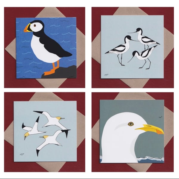 Coastal bird greetings cards - pack of 4