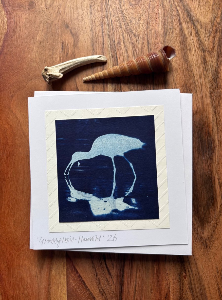 Glossy Ibis - Cyanotype Card with envelope