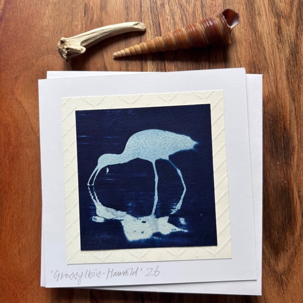 Glossy Ibis - Cyanotype Card with envelope