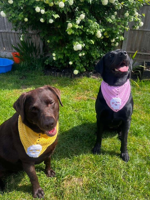 Dog Bandana Crochet Pattern (Digital PDF) – Includes 3D Skull & Posable Hand App