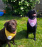 Dog Bandana Crochet Pattern (Digital PDF) – Includes 3D Skull & Posable Hand App