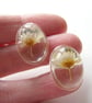 Real Daisy Earrings in Resin - Image 4