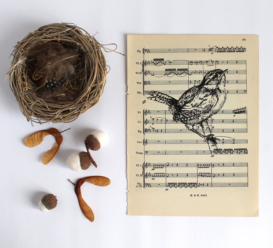 Perching Wren Gocco Print on Vintage Sheet Music, Bird Print, British Bird Art
