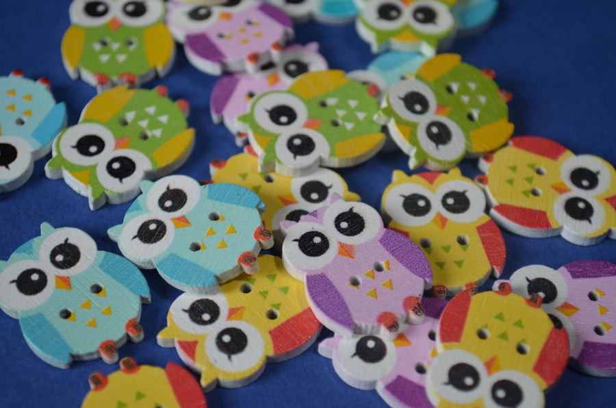 Wooden Owl Buttons Mixed 6pk Cute Bird 6pk 23x18mm (O1)