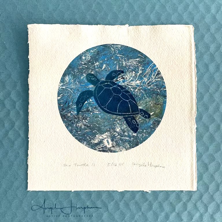 Lino Print and Monoprint Original on Mounted on Khadi Paper - Sea Turtle