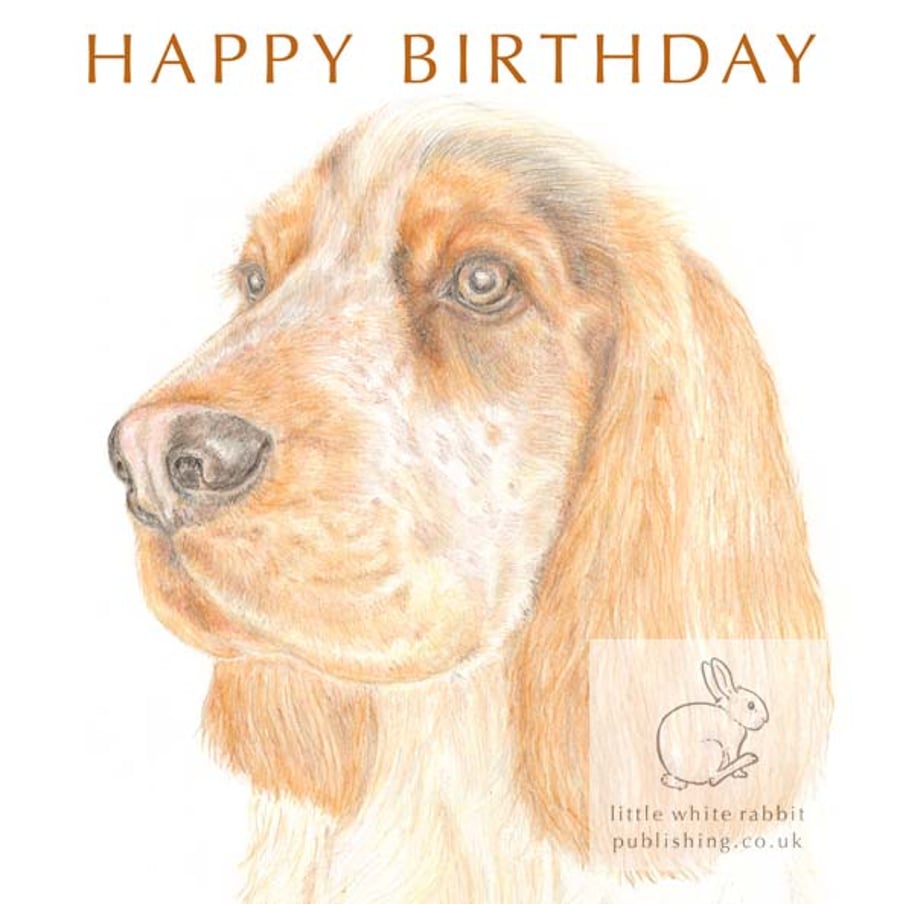 Humphrey the Cocker Spaniel - Birthday Card