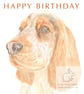 Humphrey the Cocker Spaniel - Birthday Card - Image 1