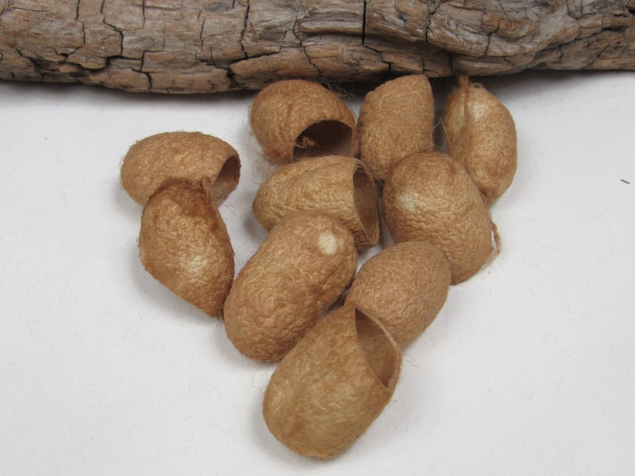 10 Birch Dyed Medium Brown Naturally Dyed Silk Cocoons