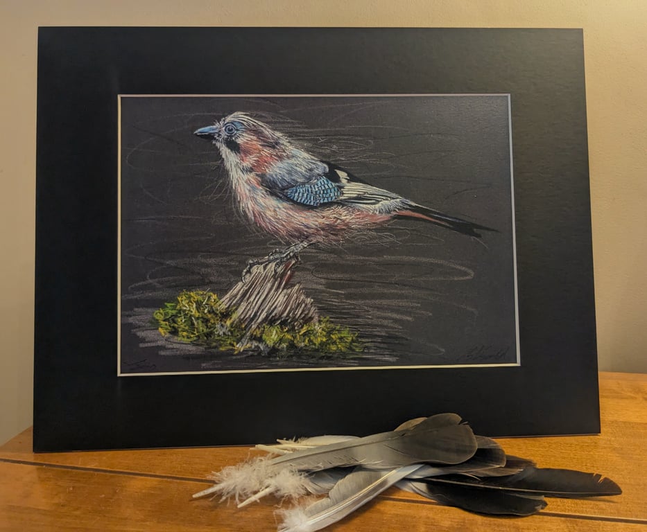 Jay, an A4 or A3 print of an original drawing