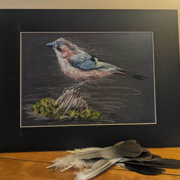 Jay, an A4 or A3 print of an original drawing